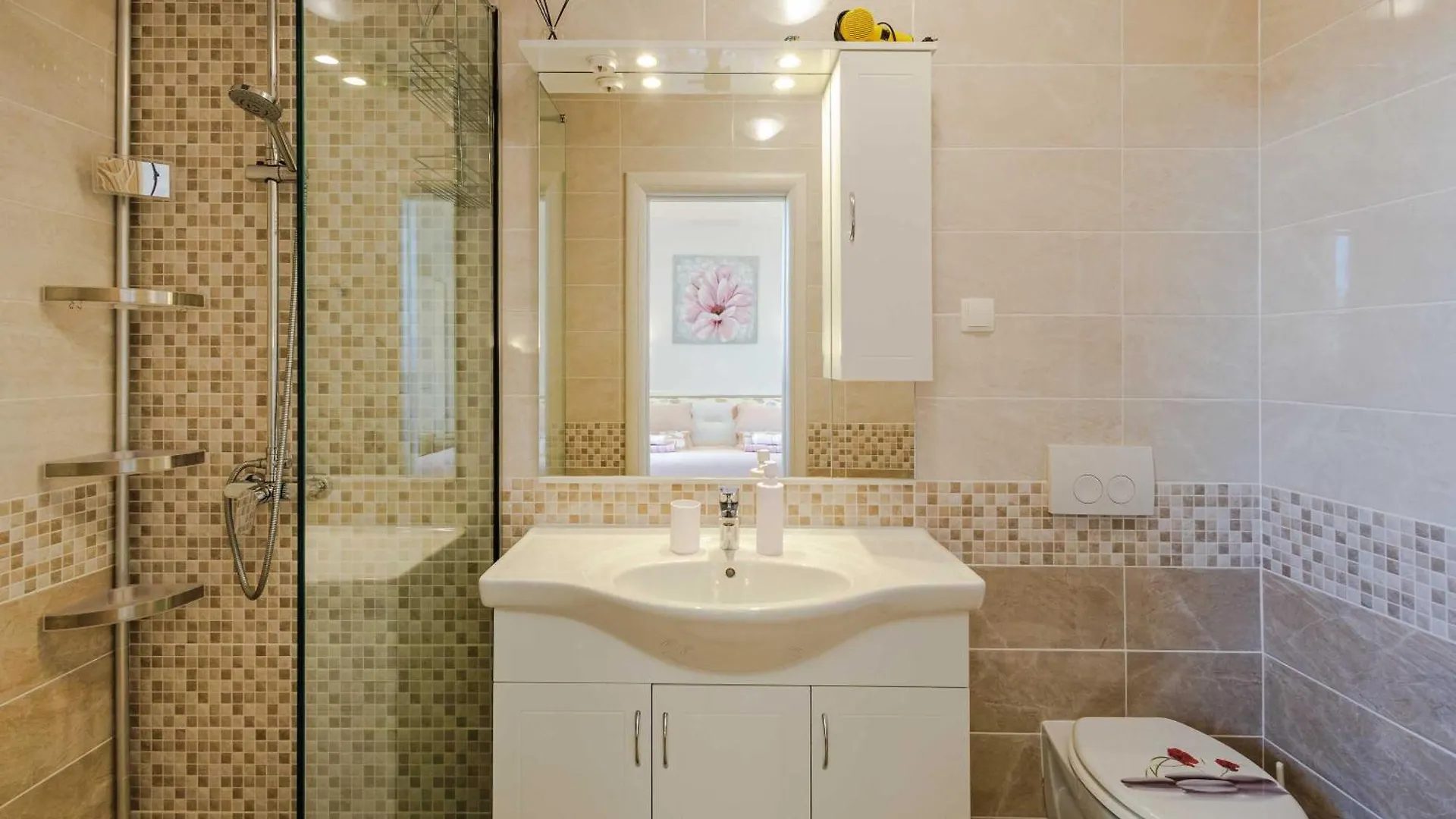 Apartment Rose Cizici